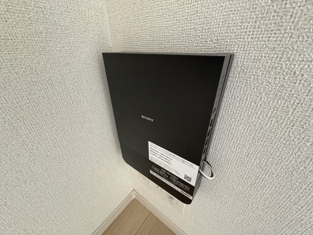 サニービューラのその他