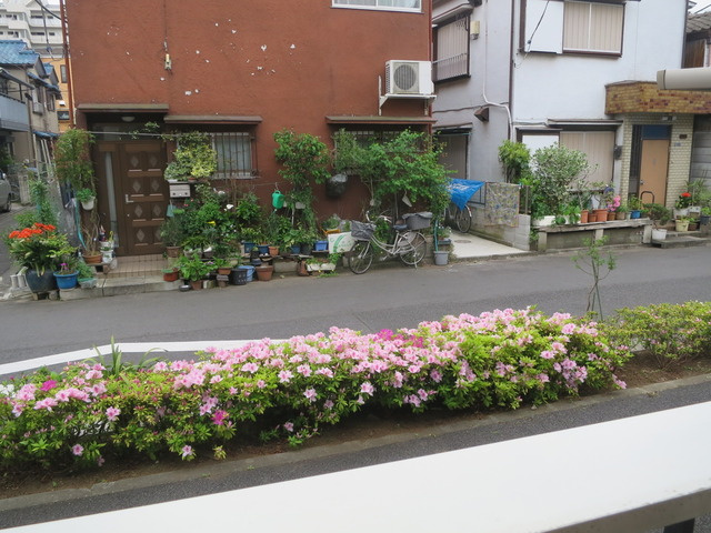 グランモアＴ・Ｄの展望|窓を開けるとお花があるので癒されますね。