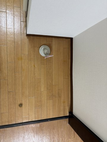 ＢＡＵＨＡＵＳ・Ｂの設備