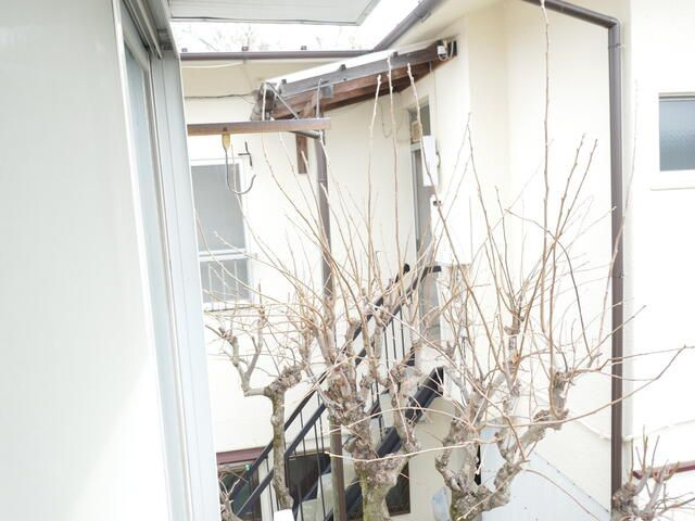 福岡アパートの展望
