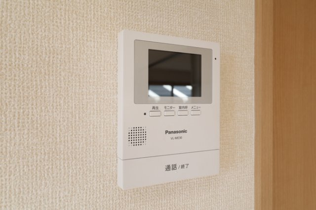 プルメリアのセキュリティ