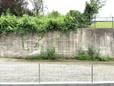 【展望】 | あんず