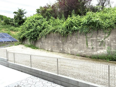【展望】 | あんず