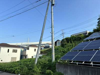 【周辺】 | あんず