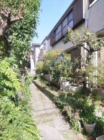 千光ハイツのエントランス|エントランスです。