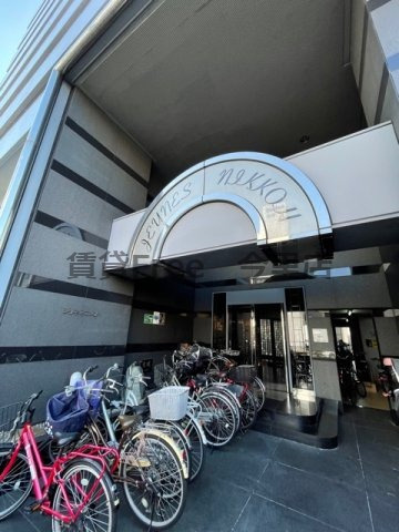 【エントランス】 | Jenes Nikkou　仲介手数料無料