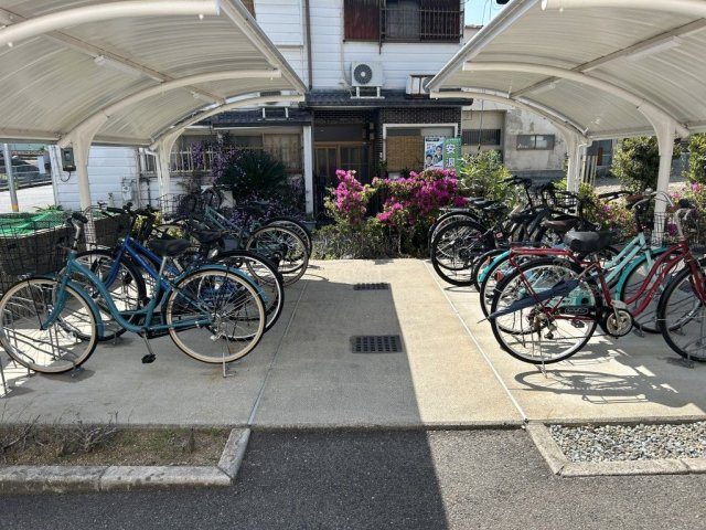 アクシスのその他