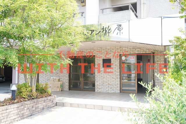 エスティーム・アン櫛原【キャッシュバック対象物件】のエントランス|毎日通るエントランスはこのようになっています