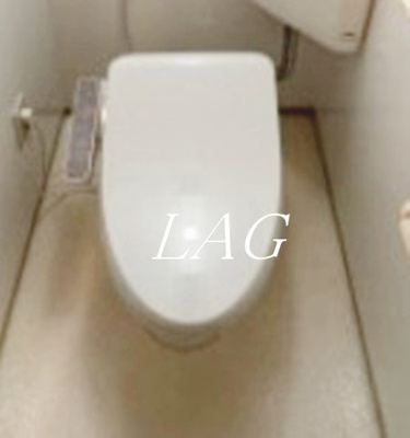 【トイレ】 | FCプレミール竜泉 | トイレです。