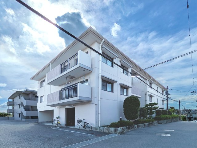 サンカルチャー