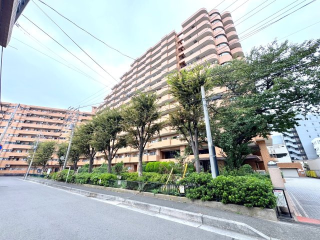 ライオンズプラザ大宮の外観|総戸数187戸の落ち着きあるマンションです。大切なペットと一緒に暮らせるのも嬉しいポイント（細則有）。コンビニまで徒歩1分とお買い物にも便利で、日々の暮らしを優しくサポートしてくれます。
