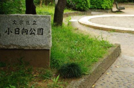 ミリオンガーデン小石川の周辺|公園