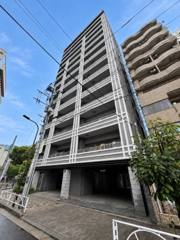 THE LIONS RYOGOKU
