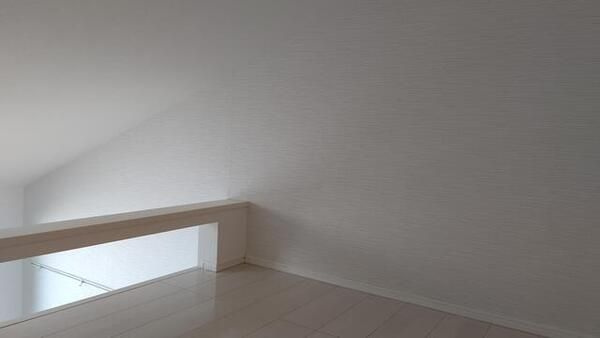ルノンのその他