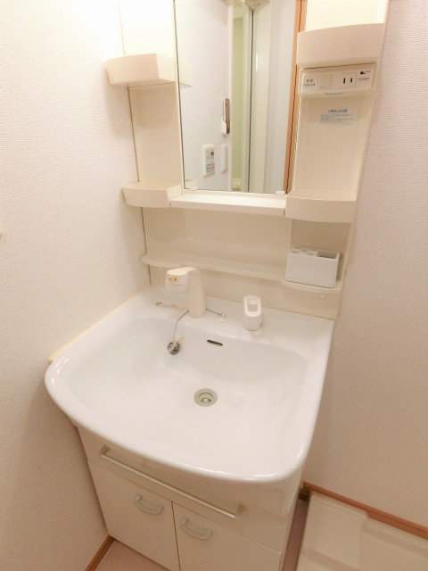 グランデカワノ玉造の洗面所