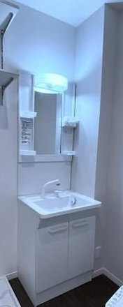 アメトリン池袋の洗面所