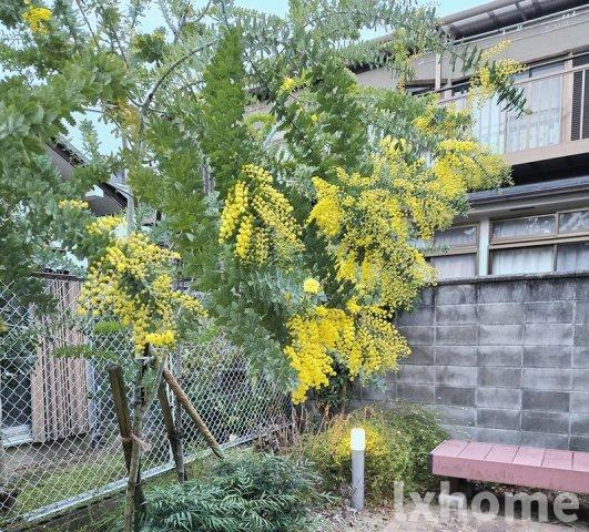 Casa　Stellaのその他