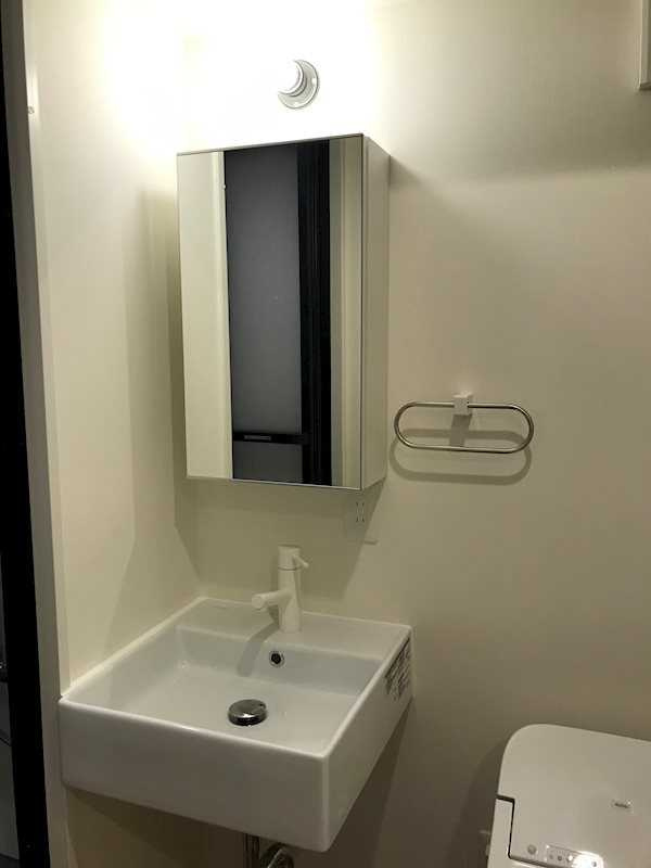 TOYO-ICHI APARTMENT.の洗面所