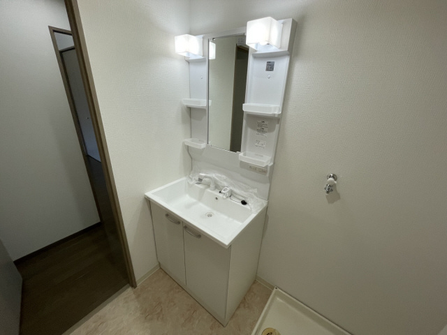 芦屋市平田北町の賃貸マンションの洗面所