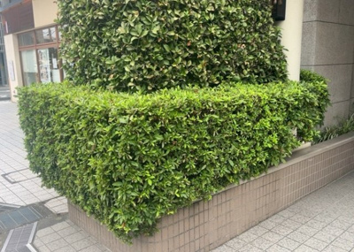 【中庭】 | エクセル本厚木 | 中庭（パティオ）とは、一つの建築物の内部に設けられた、壁などで囲われている庭のことを指します。コの字型、ロの字型が主流ですが、L字型の中庭もあります。最近では、インテリア性の高さからも人気があります。