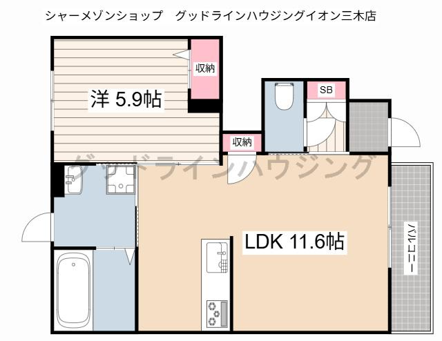 ケンタッキーブルーグラス