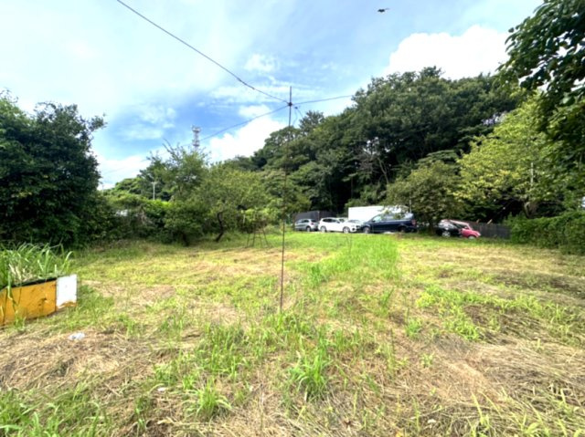 柏市塚崎土地
