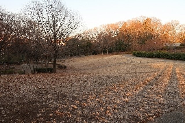 スリービレッヂの周辺|公園「茅ヶ崎公園まで166m」