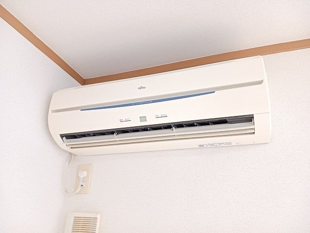 アンジュのその他