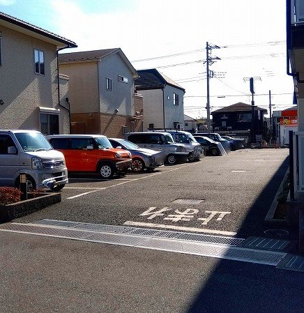 レオパレスめぐみのその他