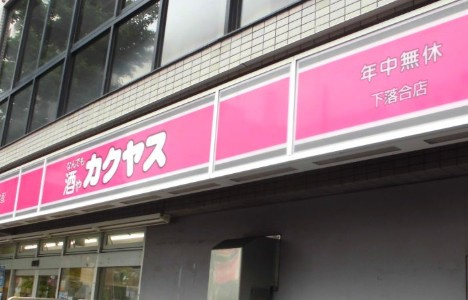ザ・パークハビオ目白タワーの周辺