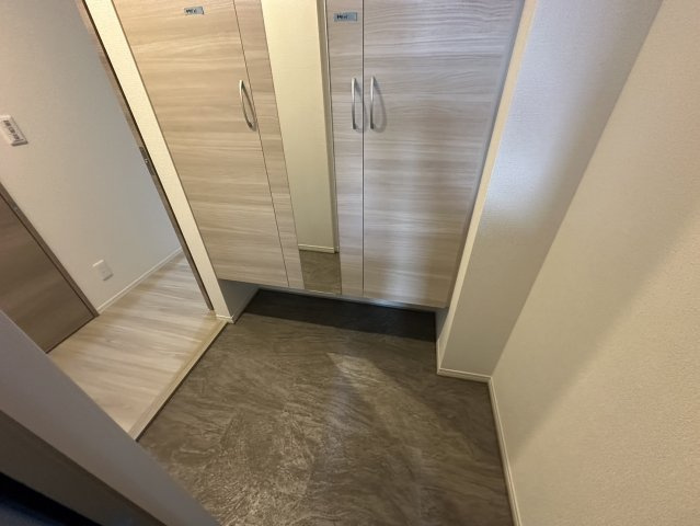 D-residence南芥川町の玄関