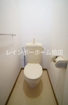 特典：仲介手数料が50％OFFです‼のトイレ|トイレも気になるポイント