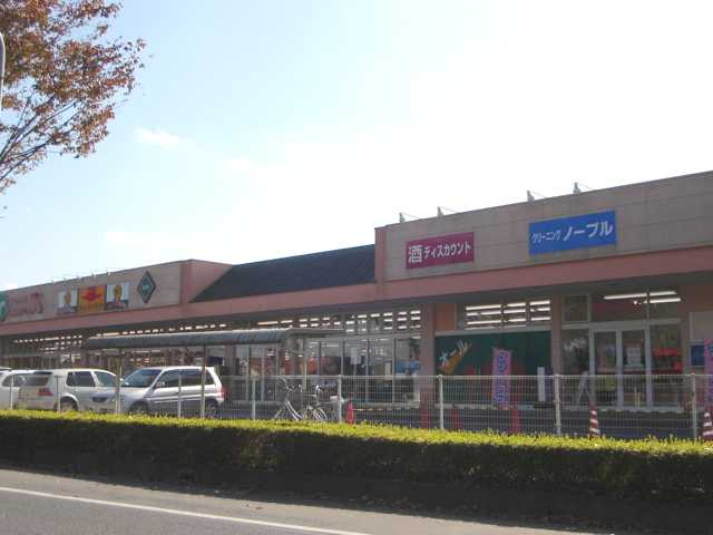 DandelionⅢ（ダンデリオンスリー）の周辺|エコス美野里店まで1,808ｍ