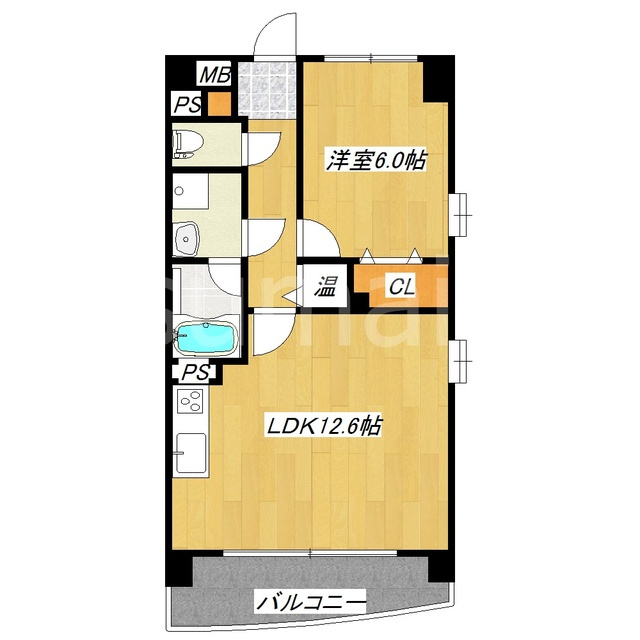 コンフォール浮間舟渡の間取り|南向きのお部屋です♪