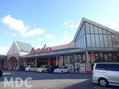アウスレーゼ　Ⅱのその他