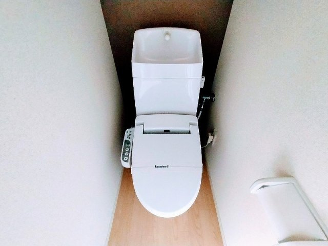 ミランダあおいのその他