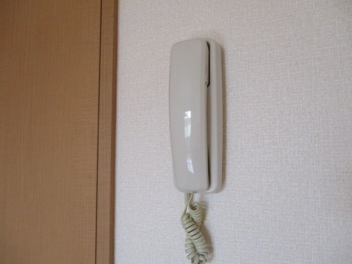 パレスレイトのセキュリティ
