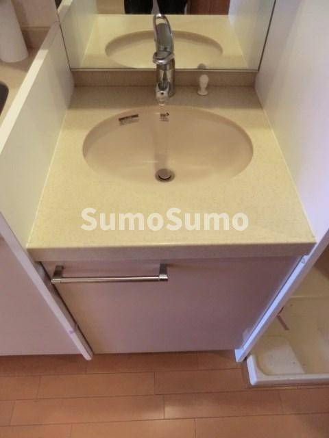 エステムコート神戸県庁前Ⅲフィエルテの洗面所