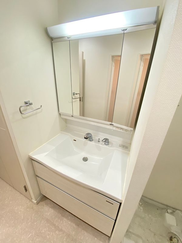 エコルクス赤坂Ⅱの独立洗面台