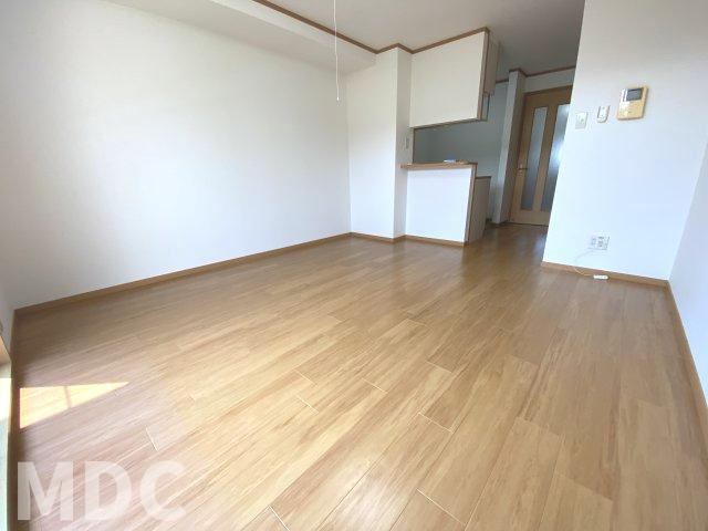 徳島市南矢三町２丁目のアパートの居間・リビング