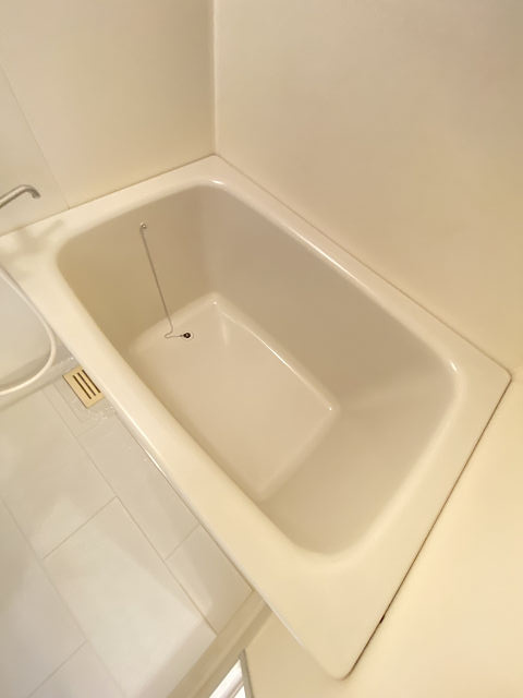 フォワイエセレストの浴室