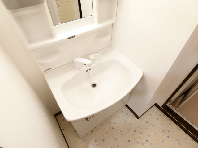 若園11番館の洗面所