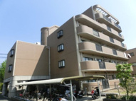 シャルマンシェソワの画像