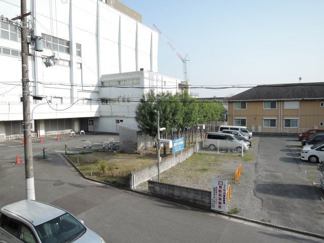 Mahalohaの展望