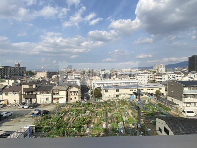ピオニー久宝寺の展望|ピオニー久宝寺　見晴らし