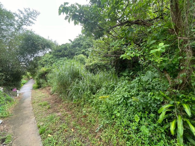 沖縄市園田の周辺