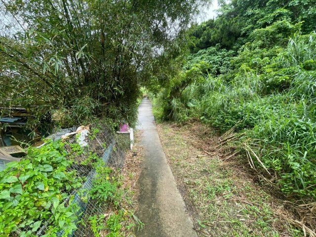 沖縄市園田の周辺