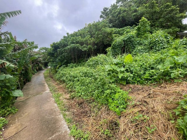 沖縄市園田の周辺