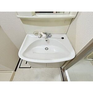 エスポワール丸新の洗面所