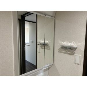 RAFFLEOZONEの洗面所